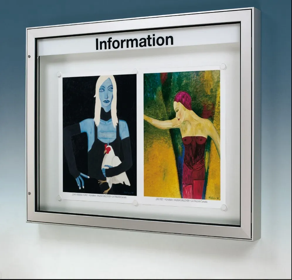 Infovitriinit