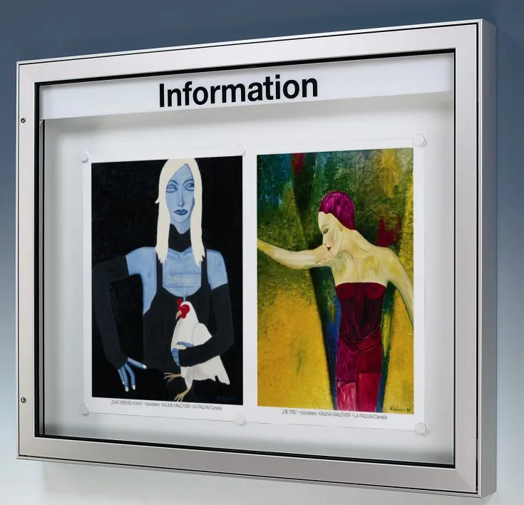 Infovitriini DIN A2 Pystysuuntainen Mitat: 485 x 30 x 660mm